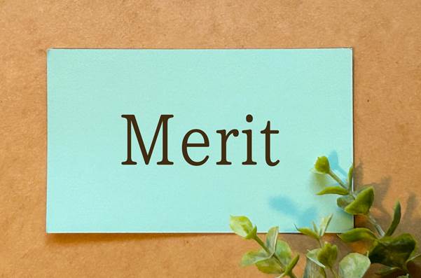 Meritと書かれた青いカードと植物の葉